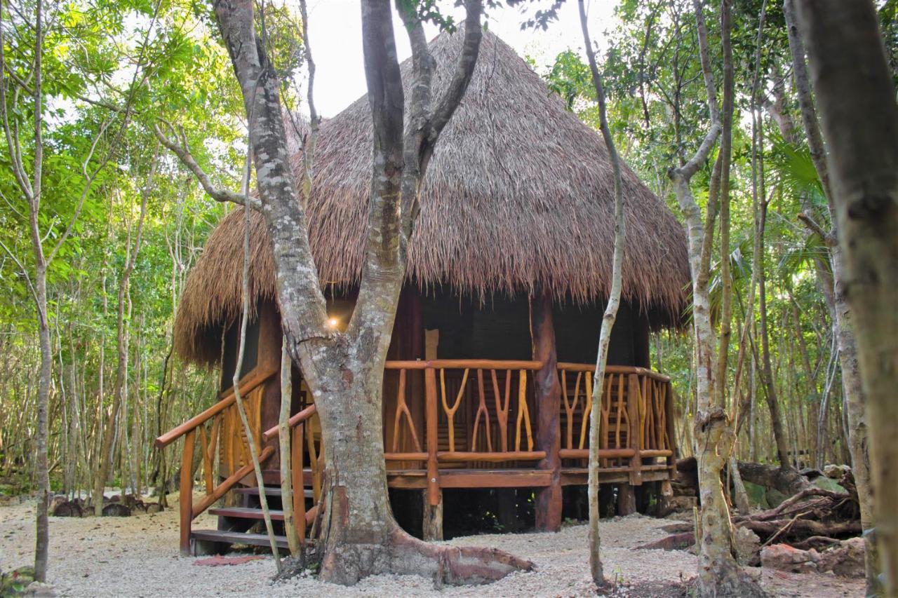 Aldea Maya-Ha Cabanas Con Cenotes Puerto Morelos Exteriér fotografie