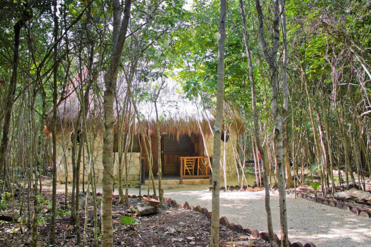 Aldea Maya-Ha Cabanas Con Cenotes Puerto Morelos Exteriér fotografie