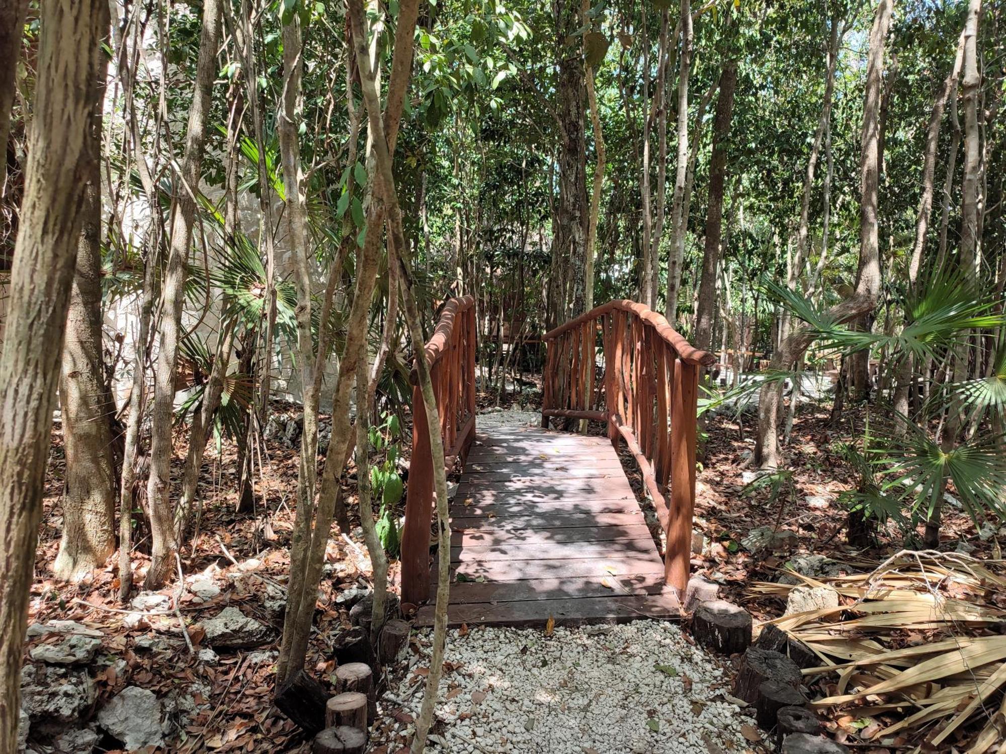 Aldea Maya-Ha Cabanas Con Cenotes Puerto Morelos Exteriér fotografie