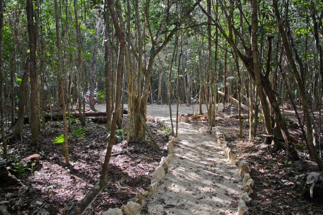 Aldea Maya-Ha Cabanas Con Cenotes Puerto Morelos Exteriér fotografie